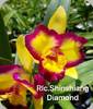 Rlc. Shinshiang Diamond